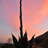 Mt. Rubidoux in Riverside, Califoria March 2012