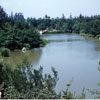 Disneyland Rivers of America 1959