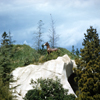 Rivers of America horse, 1950s