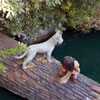 Indian boy and dog, January 2007