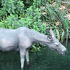 Disneyland Rivers of America, December 2008