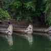 Disneyland Davy Crockett's Explorer Canoes photo, May 2015