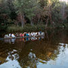 Rivers of America Indian Canoe photo, December 1965