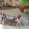 Disneyland Frontierland Indian Settlement, May 2008