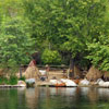 Disneyland Rivers of America Indian Settlement April 2012