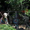 Disneyland Rivers of America Indian Settlement, August 2009