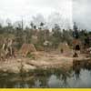 Disneyland Indian Settlement photo, 1956