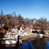 Disneyland Indian Village