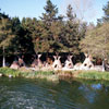 Disneyland Indian Settlement photo, March 1975