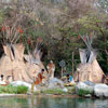 Indian Settlement, February 2007