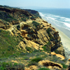 Torrey Pines Beach Spring 2004