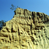 Torrey Pines Beach Spring 2004