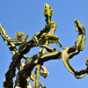 Balboa Park Cactus Garden November 2011