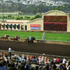 Del Mar Race Track August 2002