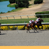 Del Mar Race Track August 2010