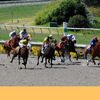 Del Mar Race Track August 2010