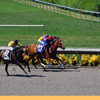 Del Mar Race Track August 2010