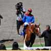 Del Mar Race Track August 2010