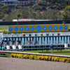 Del Mar Race Track August 2010