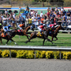 Del Mar Race Track August 2010