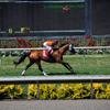 Del Mar Race Track August 2010