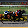 Del Mar Race Track August 2010