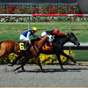 Del Mar Race Track August 2010