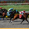 Del Mar Race Track August 2010