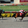 Del Mar Race Track August 2010