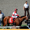 Del Mar Race Track August 2010