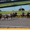 Del Mar Race Track August 2010