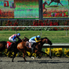 Del Mar Race Track August 2010