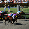 Del Mar Race Track August 2010