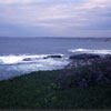 La Jolla, California Spring 1986