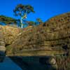 La Jolla Wind and Sea beach December 2014