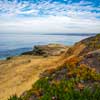 La Jolla beach February 2014