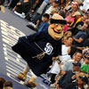 Padres at PETCO Park July 2010