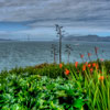 Alcatraz State Prison in San Francisco photo, March 2013