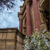 San Francisco Palace of Fine Arts March 2013