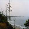 Beach in Santa Barbara June, 2006