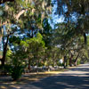 Bonaventure Cemetery in Savannah Georgia November 2012