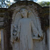 Bonaventure Cemetery in Savannah Georgia November 2012