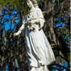 Bonaventure Cemetery in Savannah Georgia November 2012