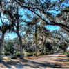 Bonaventure Cemetery in Savannah Georgia November 2012