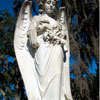 Bonaventure Cemetery in Savannah Georgia November 2012