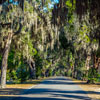 Bonaventure Cemetery in Savannah Georgia November 2012