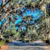 Bonaventure Cemetery in Savannah Georgia November 2012