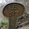 Bonaventure Cemetery October 2008