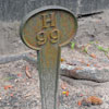 Bonaventure Cemetery October 2008