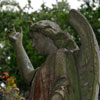 Bonaventure Cemetery October 2008